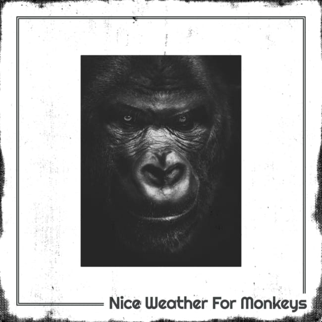 Nice Weather for Monkeys cover